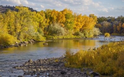 Autumn Adventures and Historic Stays: Your Fall Getaway at The Leland House