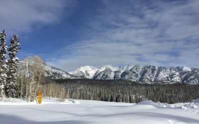 A New Year, A New Way to Unwind: Plan a Wellness-Oriented Stay in Durango